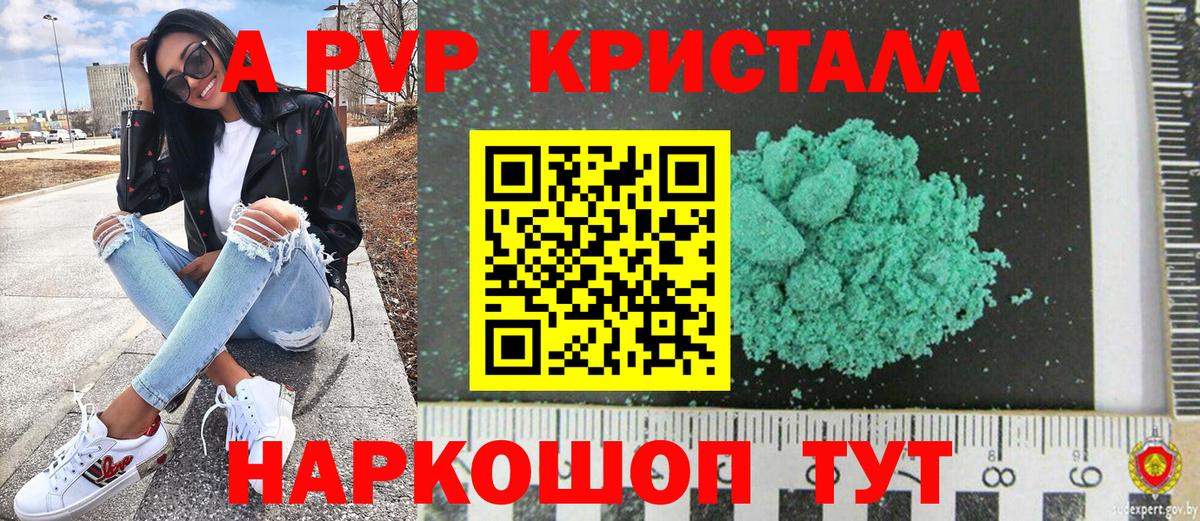 Альфа ПВП СК Кировск
