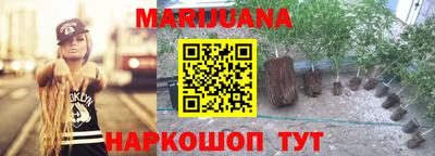 ПСИЛОЦИБИНОВЫЕ ГРИБЫ Вышний Волочёк